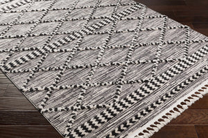 Warrandyte 5x7 Black&White High-Low Rug - Clearance