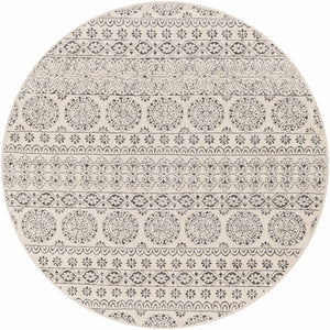 Warroad Area Rug