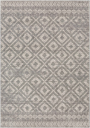 Webb Area Rug - Clearance