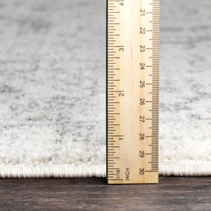 Weedsport Area Rug - Clearance