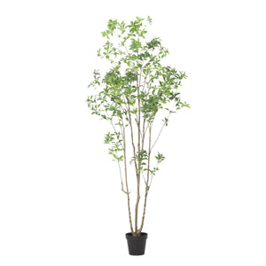 240cm Artificial Pieris Tree