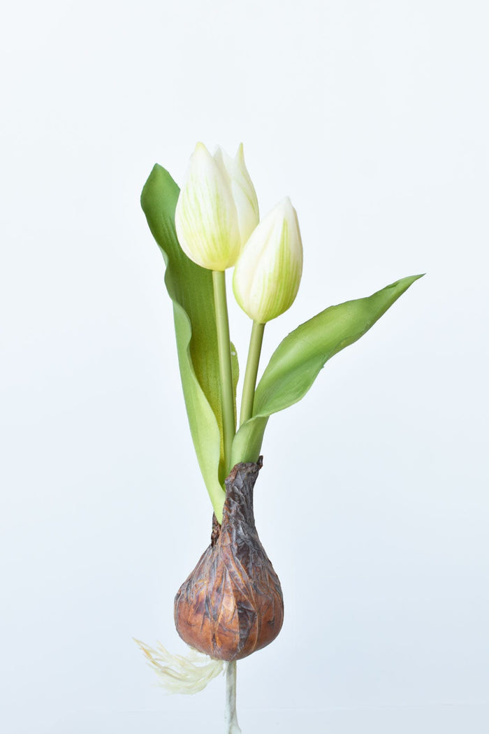 House by JSD 8" Faux Real Touch White Tulips in Bulb w/pick