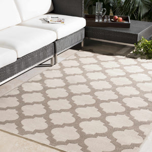 Winterville  Area Rug - Clearance