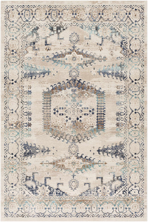Wem Faded Neutral Area Rug - Clearance