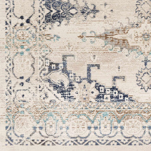 Wem Faded Neutral Area Rug - Clearance