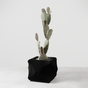 Xenova Planter