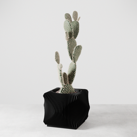 Xenova Planter