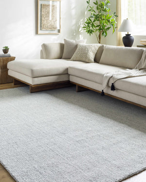 Zareh Gray Blue Solid Area Rug - Clearance