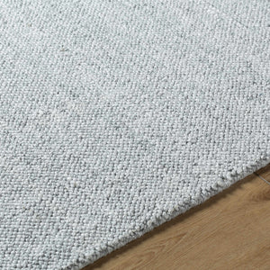 Zareh Gray Blue Solid Area Rug - Clearance