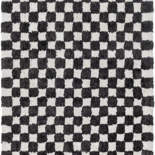 Zveha Area Rug