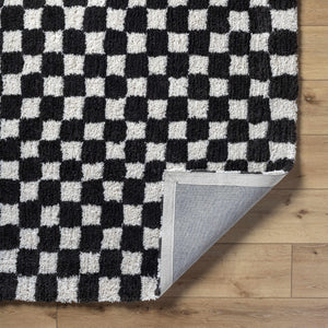 Zveha Area Rug