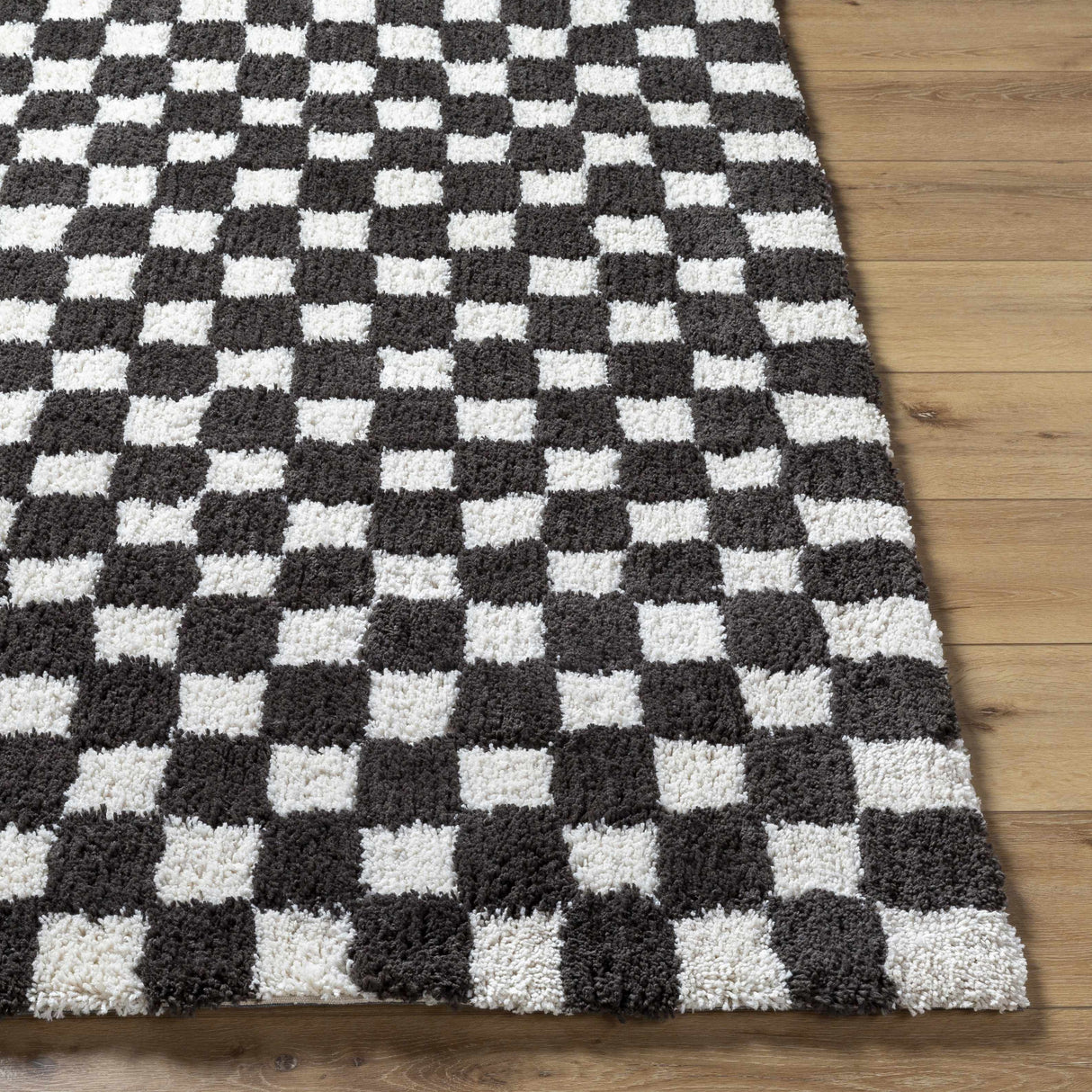 Zveha Area Rug