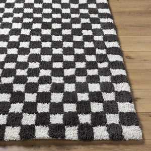 Zveha Area Rug