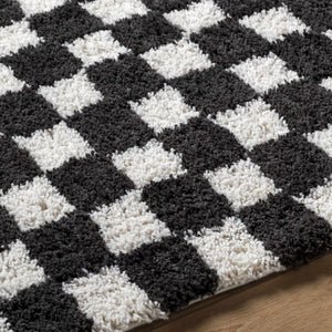Zveha Area Rug