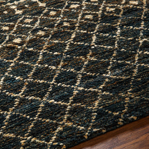Aziz Area Rug - Clearance